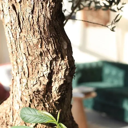 Luxury Harbour With Private Parking Apartamento