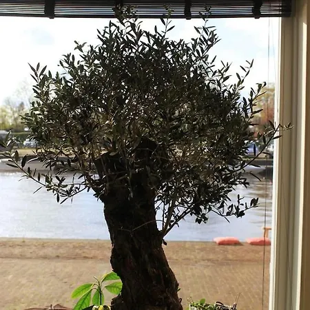 Luxury Harbour With Private Parking Apartamento *