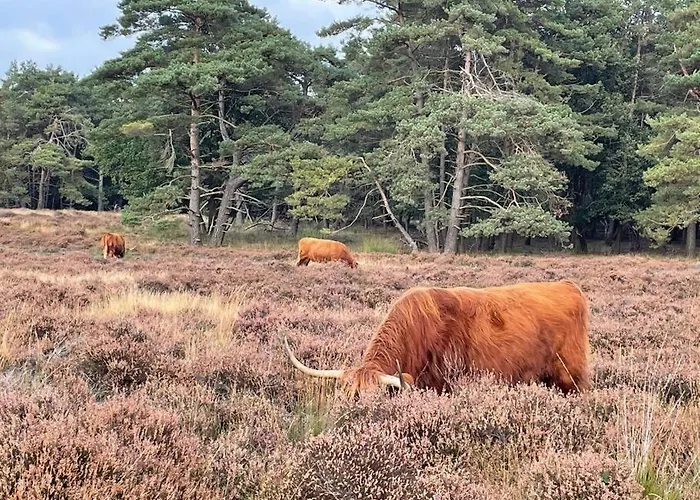 Luxury Harbour With Private Parking